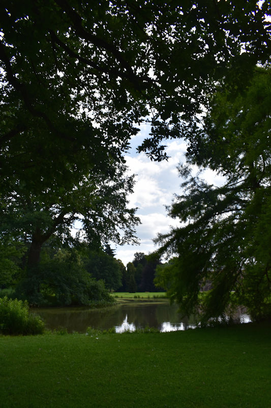 goettliche-fotografie-jesus-natur-energetische-bilder-baum-kraft-bilder-1.jpg