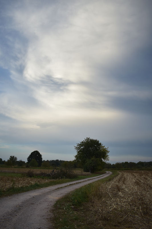 gorres-wort-fotograie-jesus-christus-ist-lebendig-himmel-bilder-himmel-bewusstsein-bilder-1a1a1.jpg