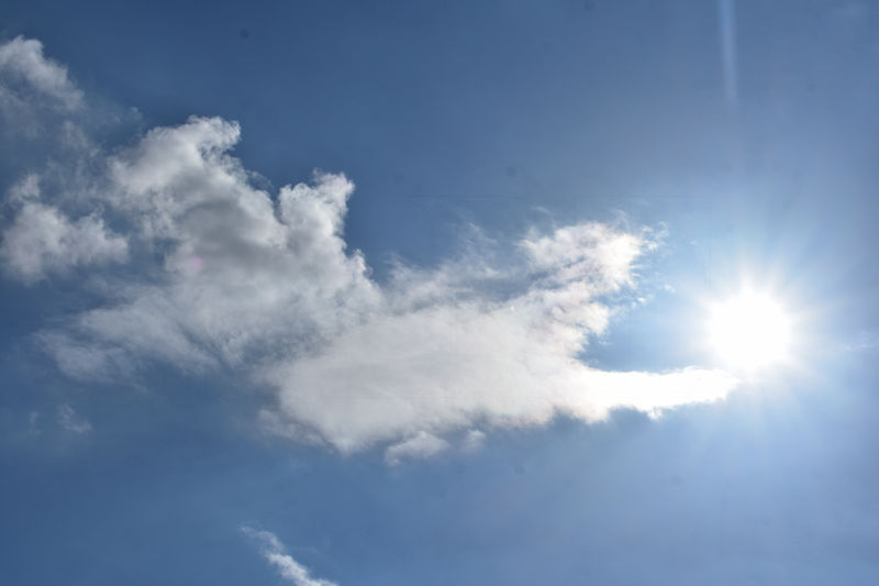 heiliger-geist-gott-fotografie-jesus-engel-bilder-botschaften-natur-1.jpg