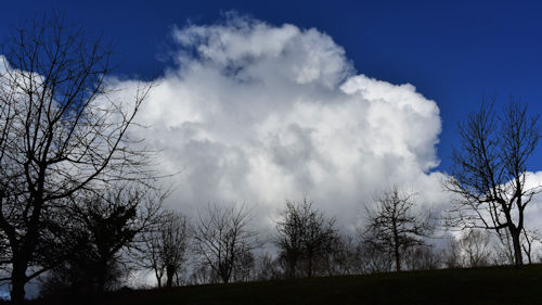 mensch-tier-natur-fotografie-gottes-wort-lebent-in gottes-geist-heiliger-geist-wse.jpg